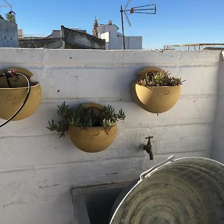 Casa Leon Blanco Reformada Centrica Con Chimenea Y Terraza Con Vistas * Carmona (Seville)